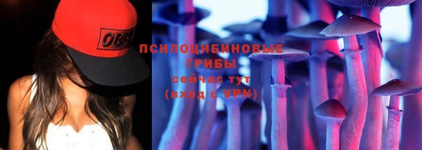 молекула духа Баксан