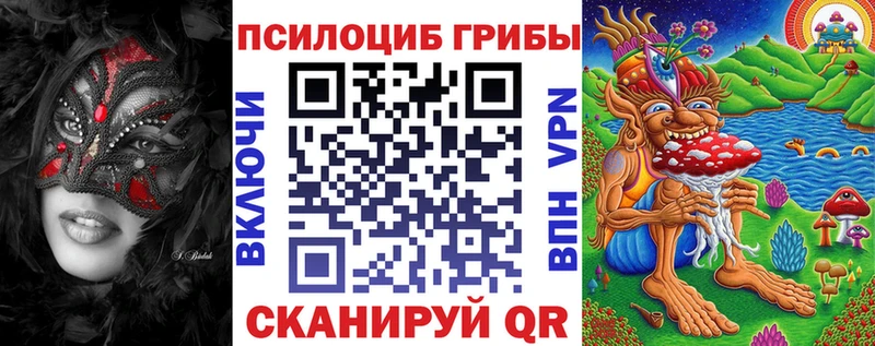 дарнет шоп  Иркутск  Псилоцибиновые грибы мухоморы 